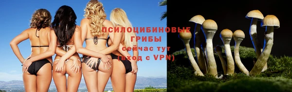 спайс Мегион