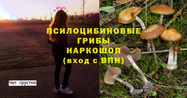 дурь Михайловка
