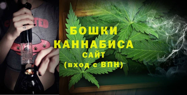 PSILOCYBIN Зерноград