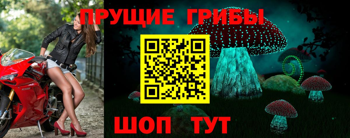 Галлюциногенные грибы мицелий Мичуринск